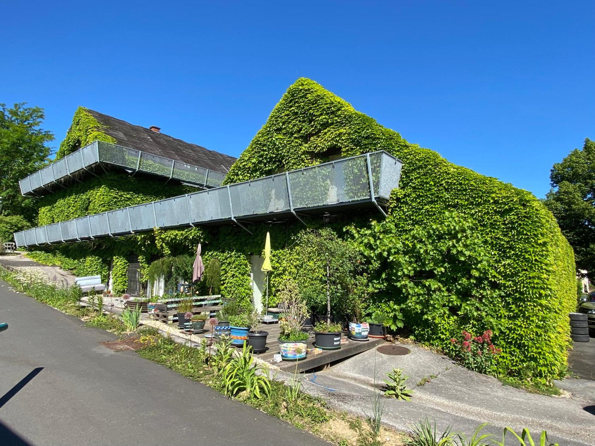 Wohnen Zwischen Golf Und Therme Bad Waltersdorf Esterno foto